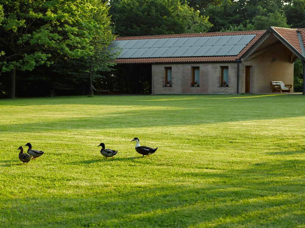 Vila Relais Agrituristico Ormesani Marcon Exteriér fotografie